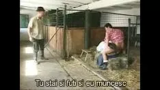 Redare Film Porno Romanesc In Grajd Cu Tarani 2018